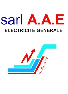 sarl A.A.E Audenge, , Installation électrique, Installation domotique, Alarme anti-intrusion, Motorisation porte et portail