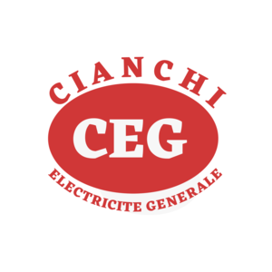 CEG ELECTRICITE Leigné-sur-Usseau, , Installation électrique