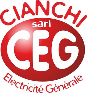 CEG ELECTRICITE Leigné-sur-Usseau, , Installation électrique