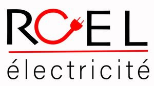 ROEL ELECTRICITE Golbey, , Motorisation porte et portail