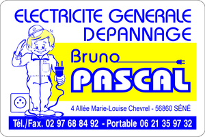 ELECTRICITE GENERALE ET DEPANNAGE PASCAL Bruno Séné, , Installation électrique, Installation domotique, Alarme anti-intrusion, Chauffage électrique, Interphone et portier vidéo, Plafond rayonnant, Plancher chauffant, Ventilation (vmc)