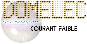 DOMELEC COURANT FAIBLE Lyon, 