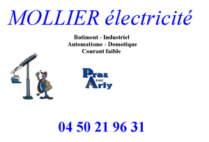 MOLLIER ELECTRICITE Praz-sur-Arly, , Installation électrique, Installation domotique, Alarme anti-intrusion, Chauffage électrique, Interphone et portier vidéo, Motorisation porte et portail, Plafond rayonnant