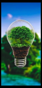 Entreprise GUYOT  Dompierre-sur-Nièvre, 